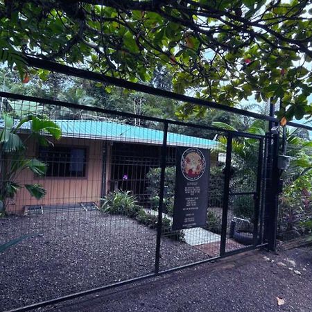 Casita Happy Feet And Tours Corcovado Ξενοδοχείο Drakes Bay Εξωτερικό φωτογραφία